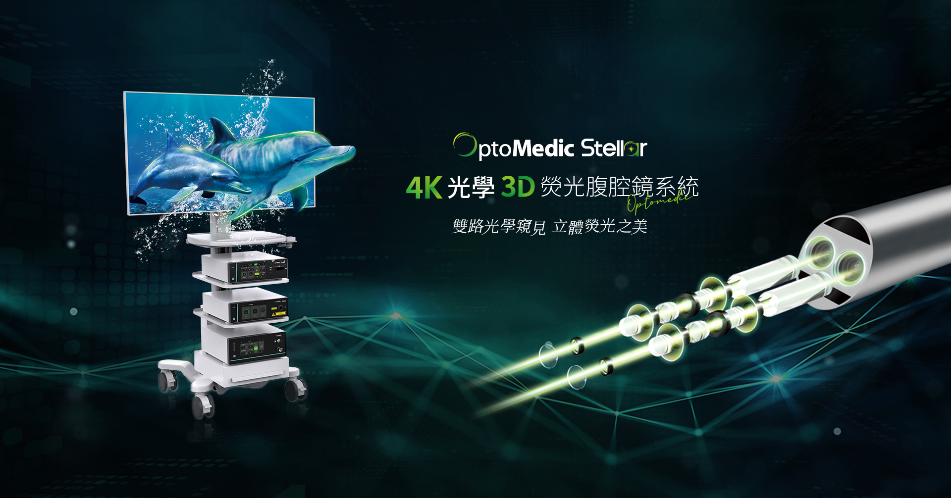 俄罗斯专享会294